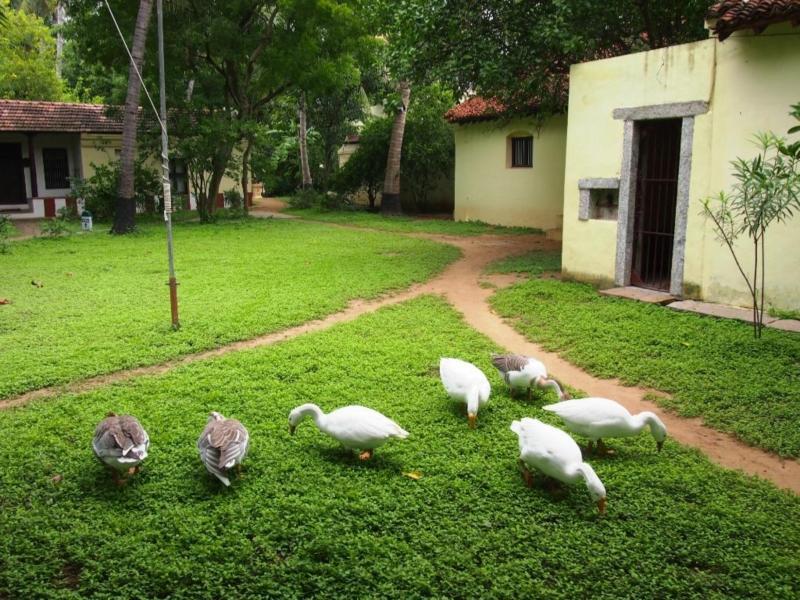 Indeco Hotels Swamimalai Kumbakonam Esterno foto